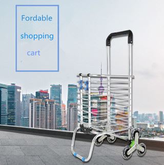 Portable rickshaw cart